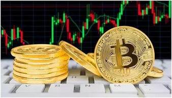 巴菲特股東大會熱潮背后的資產(chǎn)焦慮